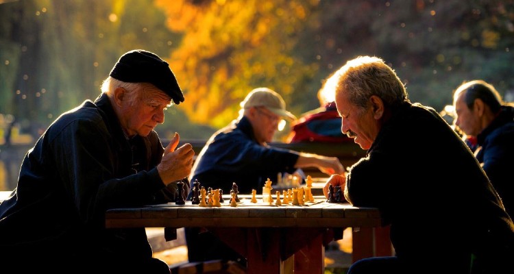 What Are The Best Memory Games for Seniors?